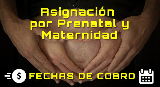 ANSES. Asignación por Prenatal y Maternidad